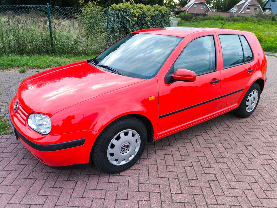 VW Golf 4 1.4 75 PS in Gronau (Westfalen)