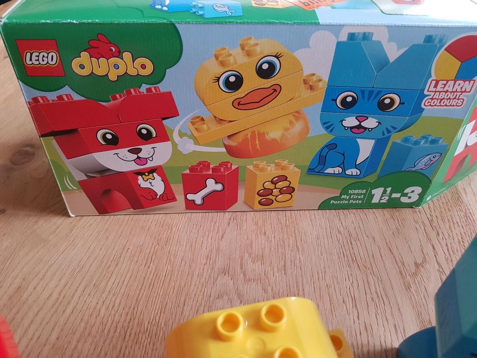 Lego Duplo 10858 Tiere My first Puzzle Pets # vollständig # in  Nordrhein-Westfalen - Mülheim (Ruhr) | Lego & Duplo günstig kaufen,  gebraucht oder neu | eBay Kleinanzeigen ist jetzt Kleinanzeigen