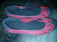 Puma Ballerina Brandenburg - Strausberg Vorschau