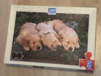 Puzzle Hunde, Welpen 160 Teile Nordrhein-Westfalen - Recklinghausen Vorschau