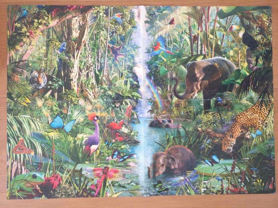 Ravensburger Puzzle 9000 - Dschungel Tiere in Rimpar