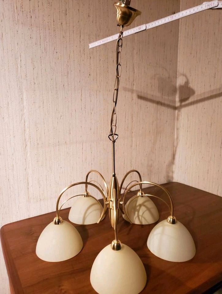 Stilvolle Deckenlampe, Hängelampe für Wohnzimmer oder Esszimmer in Bad Schussenried