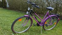 ACTIVE Damen Mountainbike 26" Shimano 18Gang Lila RH57cm Tacho... Hessen - Tann Vorschau