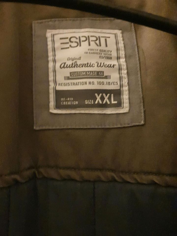 Winterjacke Herren Esprit XXL in Bielefeld