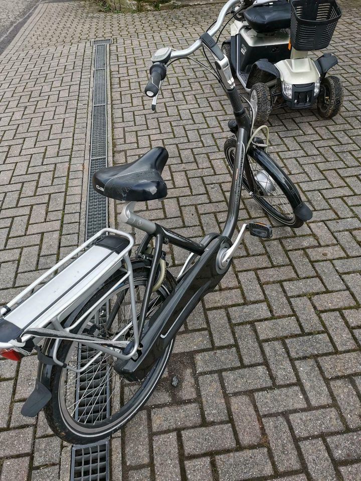 Elektro Fahrrad Damenfahrrad in Birkenfeld