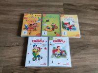 Caillou DVD Jahreszeiten Verkleiden Beruf Dresden - Innere Altstadt Vorschau