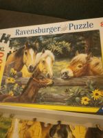 Puzzle Pferdepuzzel von Ravensburger 200 Teile Bielefeld - Sennestadt Vorschau