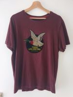 Chevignon Herren T-Shirt "Togs Unlimited" weinrot Größe L Sachsen - Radebeul Vorschau