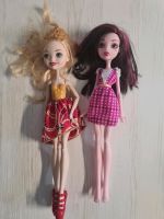 Monster High Barbies Barbie Puppen Niedersachsen - Harsefeld Vorschau
