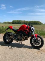 Ducati Monster 821 Schleswig-Holstein - Lübeck Vorschau