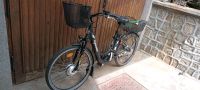Damen City-E-Bike zu verkaufen Brandenburg - Trebbin Vorschau