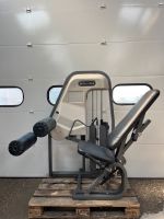 Nautilus 2st Seated Leg Curl/ Beinbeuger machine Grey Nordrhein-Westfalen - Bocholt Vorschau