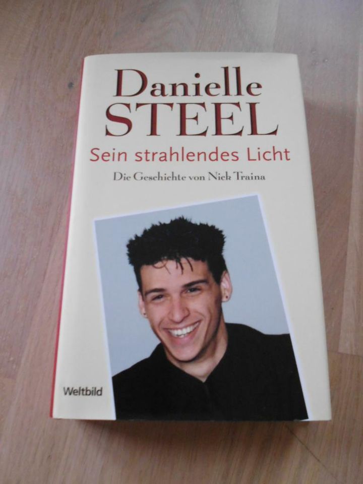 Steel, Danielle - Sein strahlendes Licht. Die Geschichte von Nick in Oberreidenbach