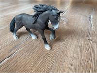 Shire Horse Hengst | Schleich Pferd Niedersachsen - Rühen Vorschau