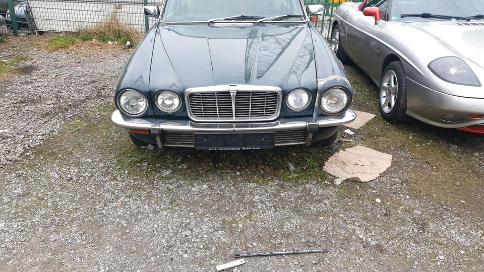 Jaguar xj6 in Essen