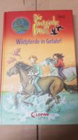 Die magische Insel - Wildpferde in Gefahr! Niedersachsen - Hildesheim Vorschau