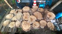Holzscheiben Scheiben Stieleiche / Quercus robur Bayern - Eckental  Vorschau
