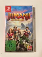 Spiel Nintendo Switch Jumanji Münster (Westfalen) - Hiltrup Vorschau