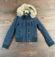 Hollister, Winterjacke, Wintermantel, Damen Berlin - Westend Vorschau