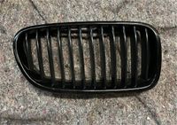 BMW F11 F10 M Performance Niere Frontziergitter Kühlergrill Grill Niedersachsen - Bad Laer Vorschau