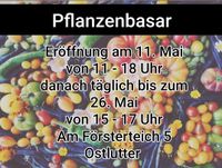 Tomaten, Gurken, Zucchini, Kürbisse, Kräuter, Blumen Niedersachsen - Lutter am Barenberge Vorschau
