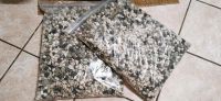 Alocasia Mineralisches Substrat Niedersachsen - Hesel Vorschau