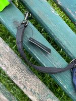 Nylon Halter Ring von Horsebrands Sachsen - Oederan Vorschau