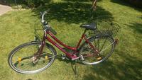 28" Damenfahrrad, 21 Gang, Pegasus Avanti Baden-Württemberg - Tettnang Vorschau