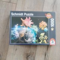 Schmidt Puzzle 1000 Teile Nordrhein-Westfalen - Windeck Vorschau