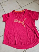 PUMA Sport T-Shirt Funktionsshirt pink XL Nordrhein-Westfalen - Rheinbach Vorschau