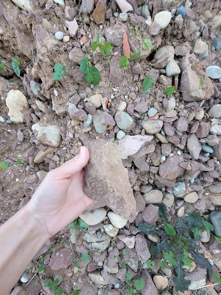 Erdaushub mit kleinen Steinen zu verschenken in Bad Säckingen