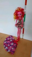 Monster High / Ever After Puppe Tall Doll ca 45 cm Hessen - Allendorf Vorschau