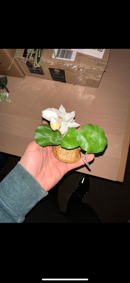 Hochzeitsdeko, künstliche Blumen 20 Stück für 5€ in Kassel