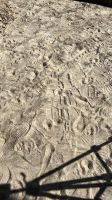 Sand Bodenaushub zu verschenken Niedersachsen - Weyhausen Vorschau