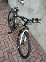 Fahrrad 28"Zoll Herren Rahmen hohe 53cm Niedersachsen - Wolfsburg Vorschau