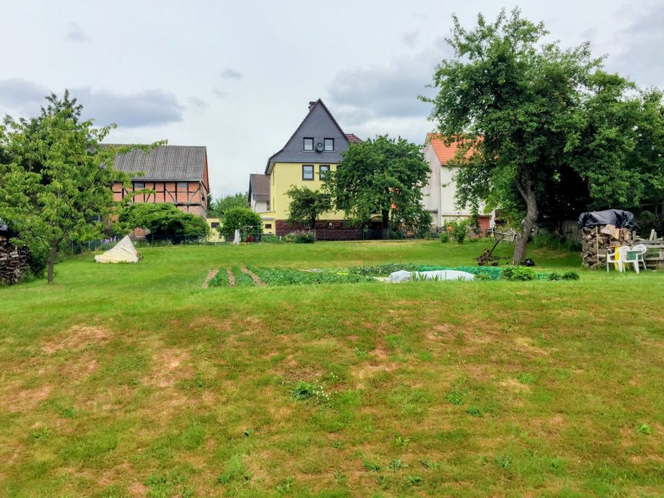 Sonniges Bau-Grundstück (unerschlossen) in ruhiger Lage in Schauenburg