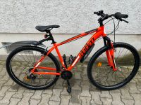 Fahrrad 29 Zoll Rheinland-Pfalz - Worms Vorschau
