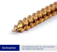 Holzschrauben Tellerkopfschrauben 8x80 Schrauben Torx WKCP Rheinland-Pfalz - Frankenthal (Pfalz) Vorschau