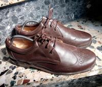Blue Mountain zwiegenähte Lederschuhe Budapester Herzogtum Lauenburg - Breitenfelde Vorschau