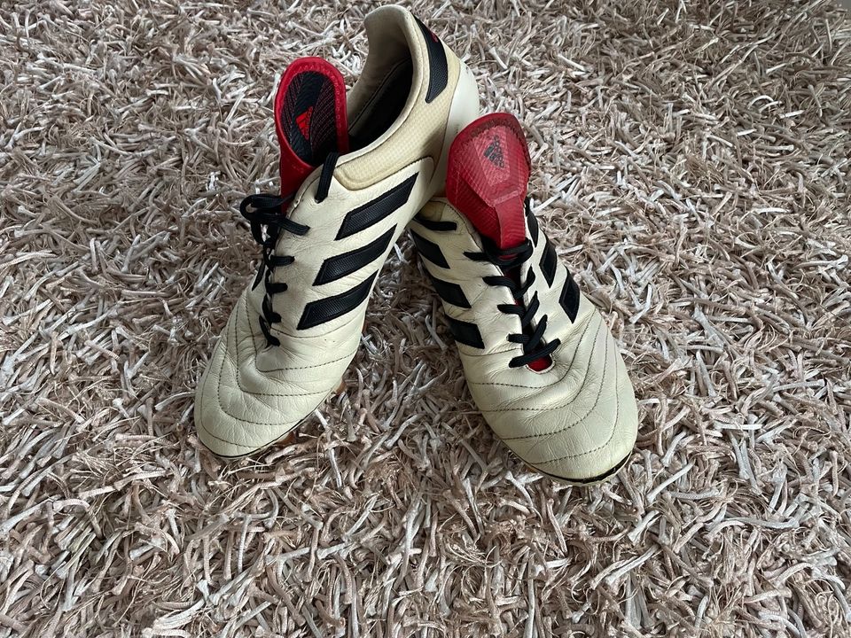 Adidas Copa 17.1 Champagne Fußballschuhe kein Predator in Tittling