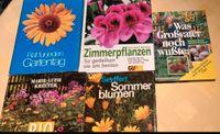 Blumen-/ Gartenbücher, -Ratgeber, Zimmerpflanzenbuch Niedersachsen - Braunschweig Vorschau