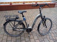 Falter E - Bike Shimano E 8.8. Wave Rheinland-Pfalz - Rockenhausen Vorschau