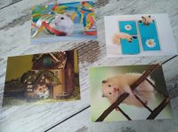 Grußkarte Set Postkarte Hamster Tiermotiv Silvester Umzug Sammeln Niedersachsen - Lengede Vorschau