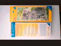 Ravensburger Puzzle Baby Katze Kitte Welpe 170 Teile Nordrhein-Westfalen - Lohmar Vorschau