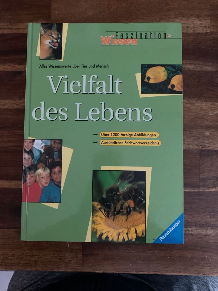 Buch: Vielfalt des Lebens in Illingen