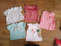 5 T - Shirts 68 Tom Tailor next Kleiderpaket Set Niedersachsen - Bad Laer Vorschau