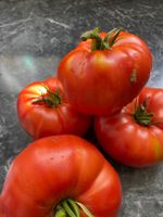 Bio Tomaten Samen (25 Stück nur 2 Euro) West - Sossenheim Vorschau