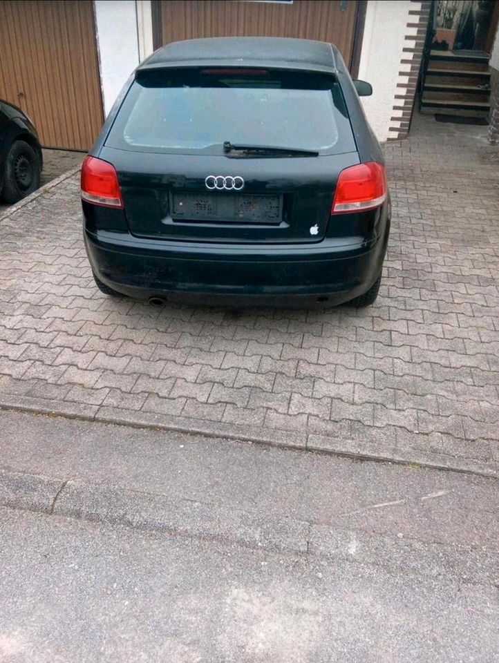 Audi A3 8P Scheinwerfer tür Kotflügel Ledersitze Alufelgen 17" in Waiblingen