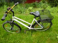 Pegasus Avanti City Bike 26 Zoll 18-Gänge für nur 300 EUR. Baden-Württemberg - Freiburg im Breisgau Vorschau