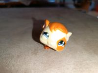 LPS Tier Littles Pets Shop Bär Nordrhein-Westfalen - Bad Laasphe Vorschau